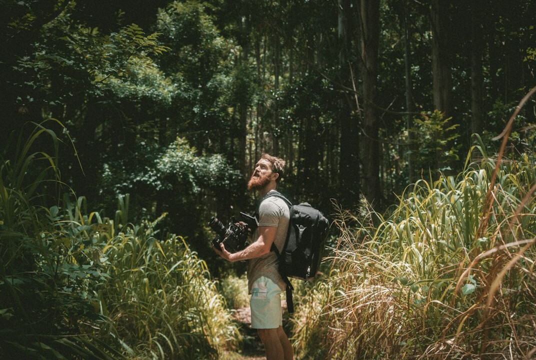 person walking in nature